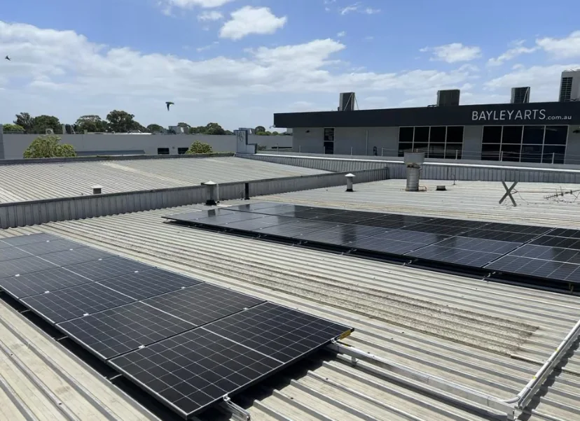 Rows of solar panels on The Brinery’s roof.